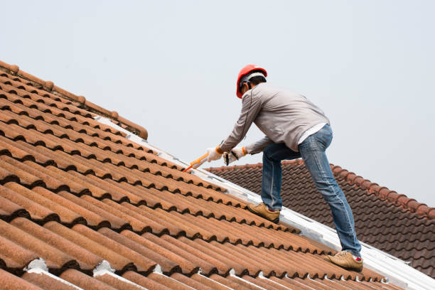 Best Roof Maintenance and Cleaning  in Shadeland, IN